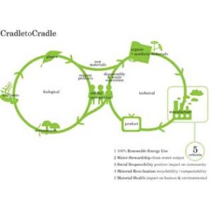 Top Green Companies and Following In Their Footsteps Image